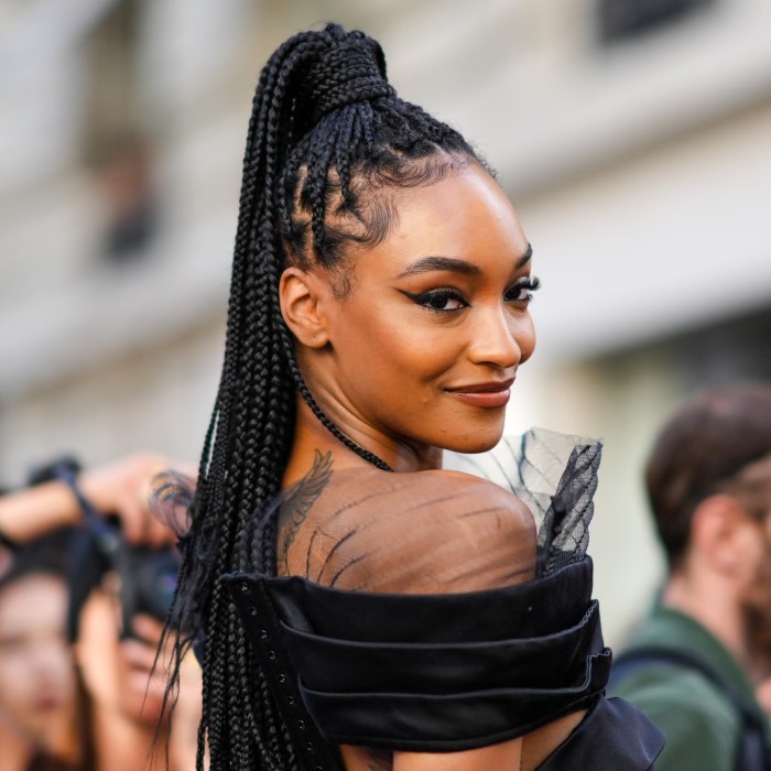 knotless braids updo