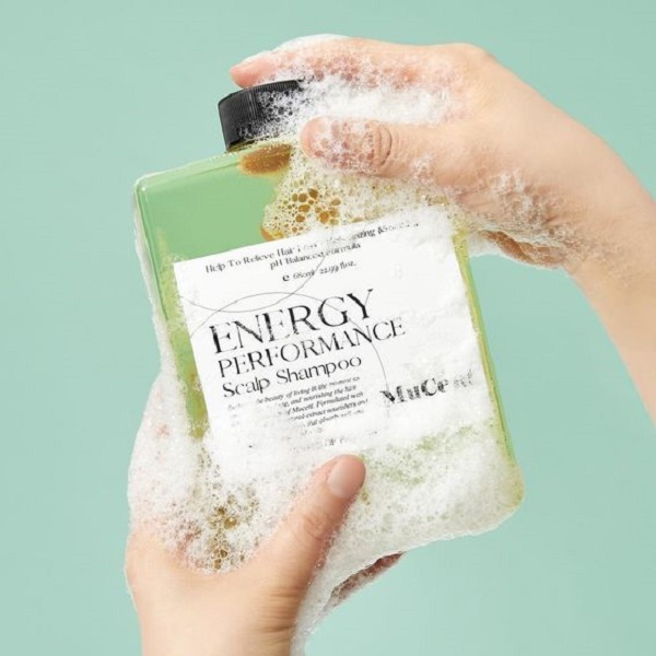 Is Shampoo or Conditioner More Important?